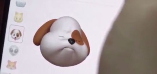 The+sound+of+jerky+makes+my+paws+sweaty+video+byhttpstwittercom6+29jk_a40265_6436031 thumbnail