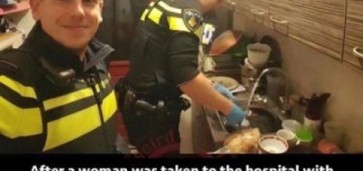 tumblr_ozhmh1EOjZ1uqsf2wo6_400