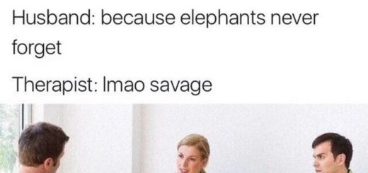 Elephant+trigger+medium+mentionlist+quixotic_17e859_6454757