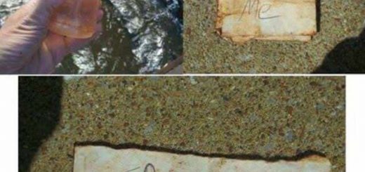 History+in+a+bottle_475a35_6455631