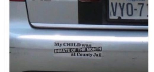 Proud+trigger+medium+mentionlist+quixotic_d5ad18_6454775