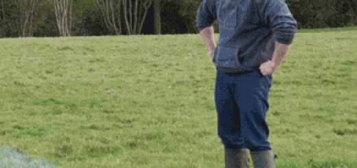 Shitty+idea_d9d767_6455703