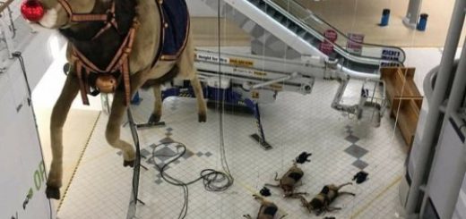 tumblr_oz841ec8FS1s2jikwo1_500