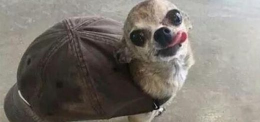 37ba9bb9-bba4-40b9-f471-59ec572cd687