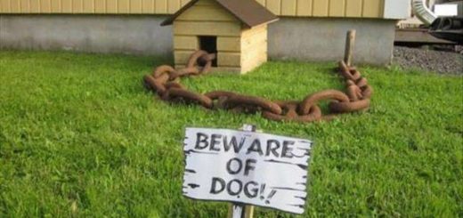 Animals_d9834c_6490773