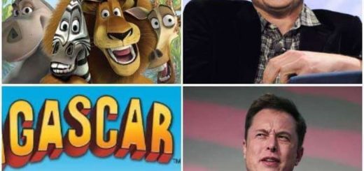 Faulty+stereotyped+incel+chinchilla_219811_6524256