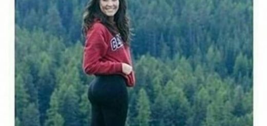 Instinctive_5a6516_6524100