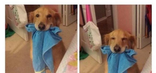 Love+and+happiness_e7196b_6524151