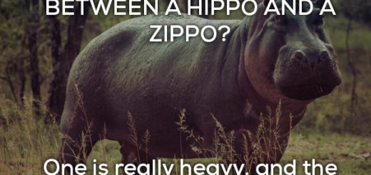 bad-jokes-18-photos-7