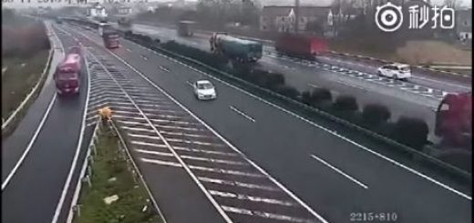 AdorableCrispKangaroo-mobile thumbnail