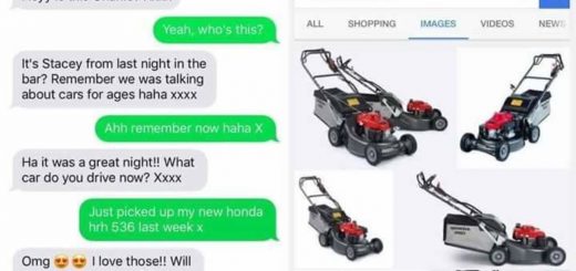 Direful+cautious+beneficial+bison_b94387_6597110