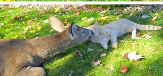 Unexpected+friends_d1051b_6597040