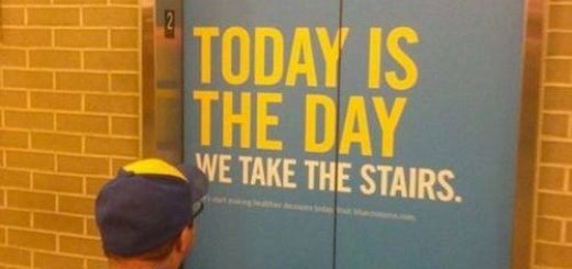 35159275_1646177978812760_3069716514903949312_n