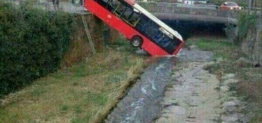 Drunk+drivers+be+like_554b44_6623304