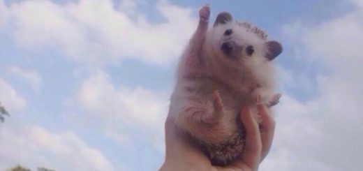 Goodnight_15ab99_6622920