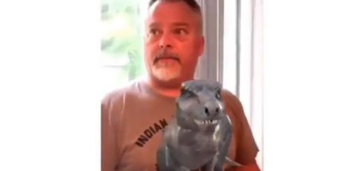 Happy+birthday_ec34fd_6623428 thumbnail