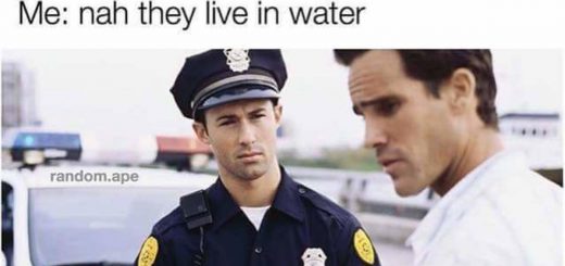 I+miss+these_cd4ae8_6624334