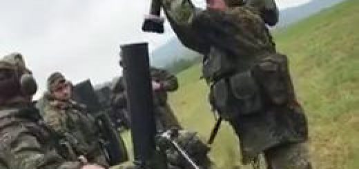 Resonant+vengeful+spoonbill_3c06da_6623034 thumbnail