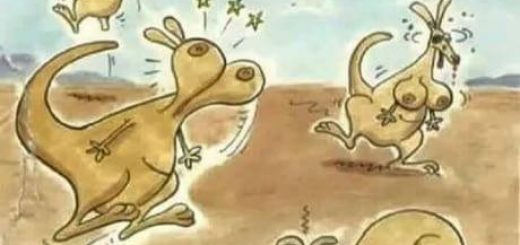 35901392_1659016684195556_5118962900655931392_n