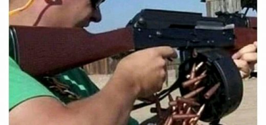 Excellent+creepy+echidna_85b41d_6650357