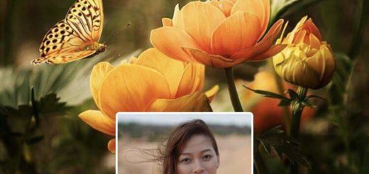 Feeling+hot+hot+hot_20b406_6650244