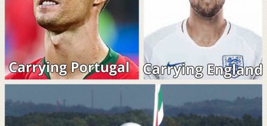 Torpid+next+narwhal_30dfbb_6650566