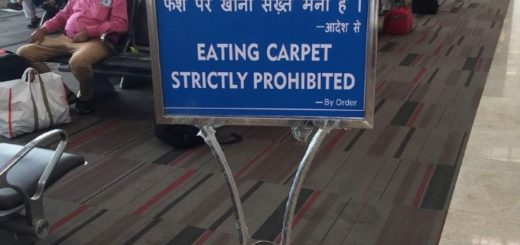 No+lesbians+trigger+medium+mentionlist+quixotic_4a0253_6705729