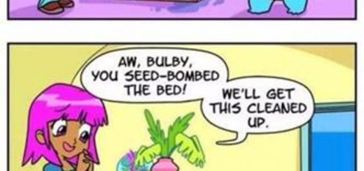 Violet+devilish+heron_86e999_6706158