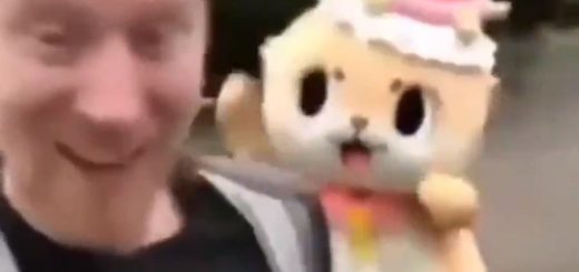 Furry+chase_25c4f8_6720879 thumbnail