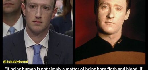 39883495_1706184759508743_3253426469610717184_n