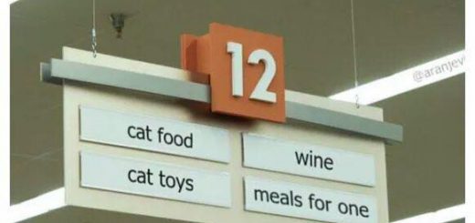 48372252_1851772334949984_1291976168941027328_n