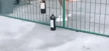 giphy-downsized-large