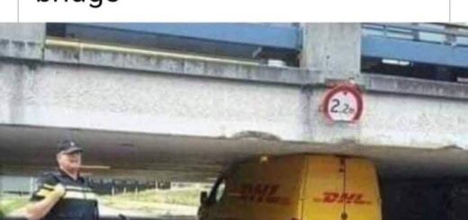 89358867_3251957521500201_3079846294055813120_n