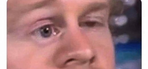 Dulled+monarch+turtle_77c01e_7658889