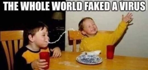 sgxjdN6Zmd8Q8rN6doR2aqfv