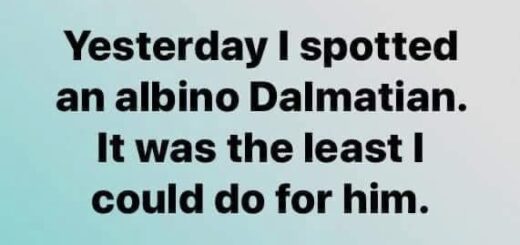 afa3852a-e6bd-4e36-bcb1-f16b616e496b