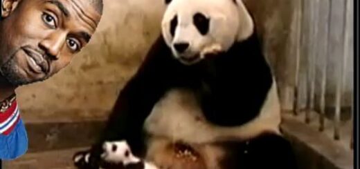 pandakanye thumbnail 1